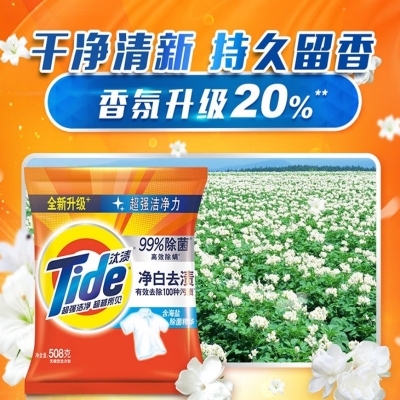 汰渍 净白去渍洗衣粉508g计价单位：袋
